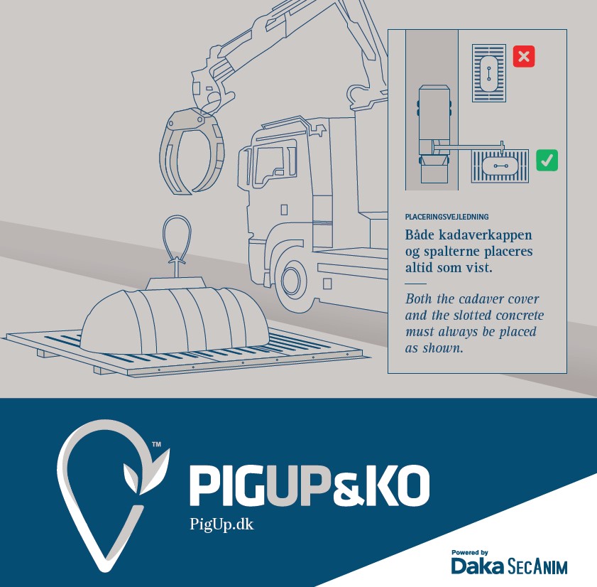 PIGUP&KO placeringsvejledning